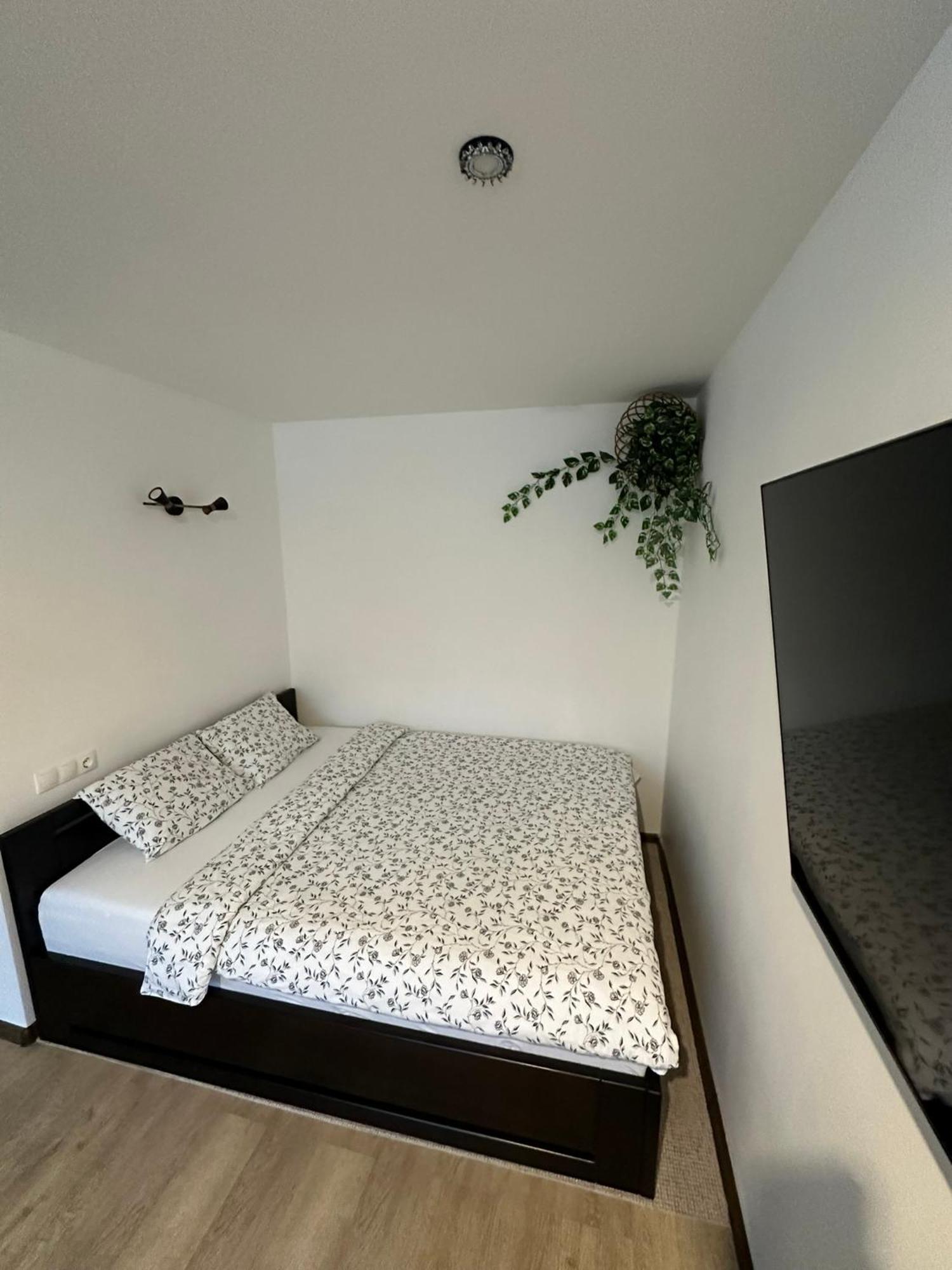 Studio Apartment Валмиера Экстерьер фото